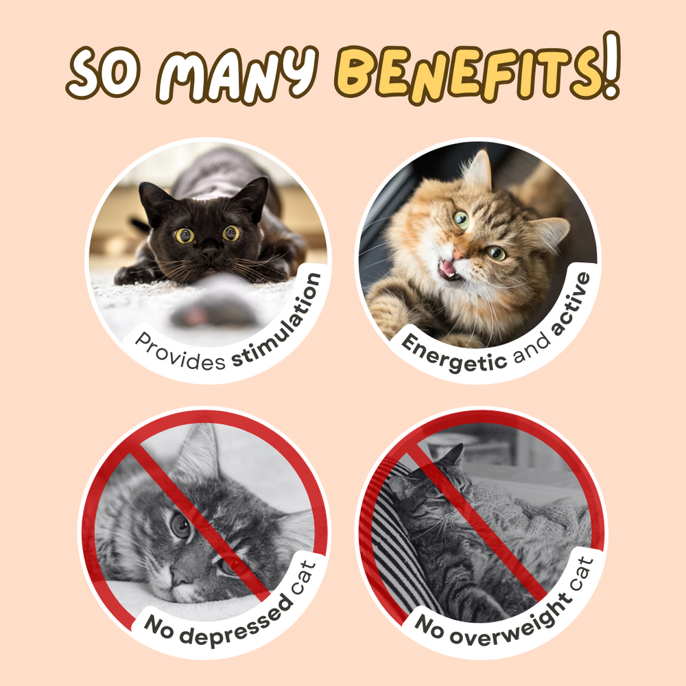 Multifunctional Cat laser Feather Stick Toy (2 in 1) - Cutier Store