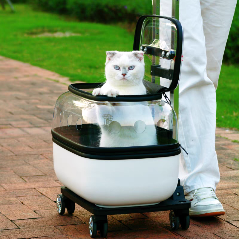 Pet Trolley transparent Suitcase - Cutier Store