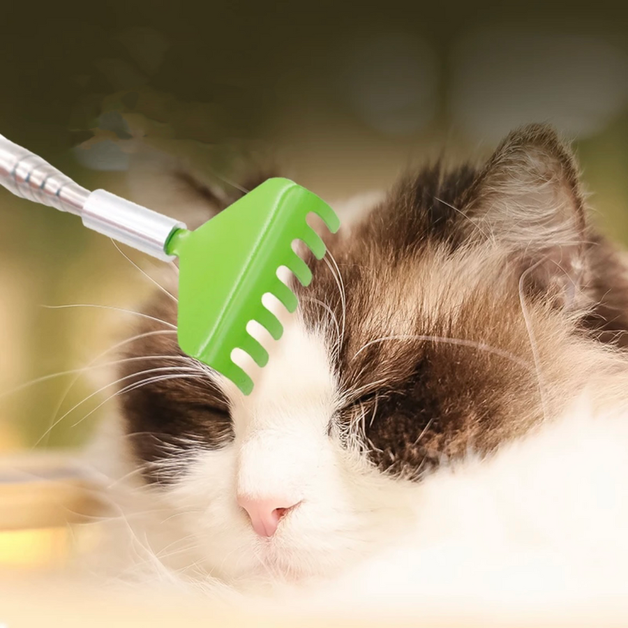 Handled Scratcher for cats - PP12 - Cutier Store