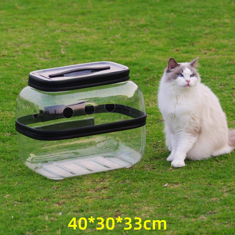 Pet Trolley transparent Suitcase - Cutier Store