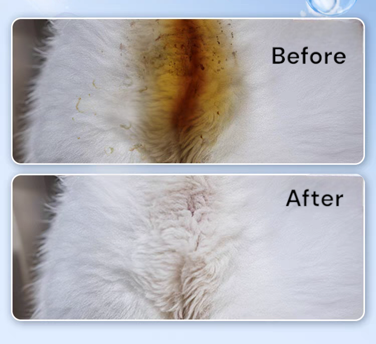 Pet Disposable Foam – Booty Cleaning Scrub & Dry Bath Gel 🐾✨ - Cutier Store