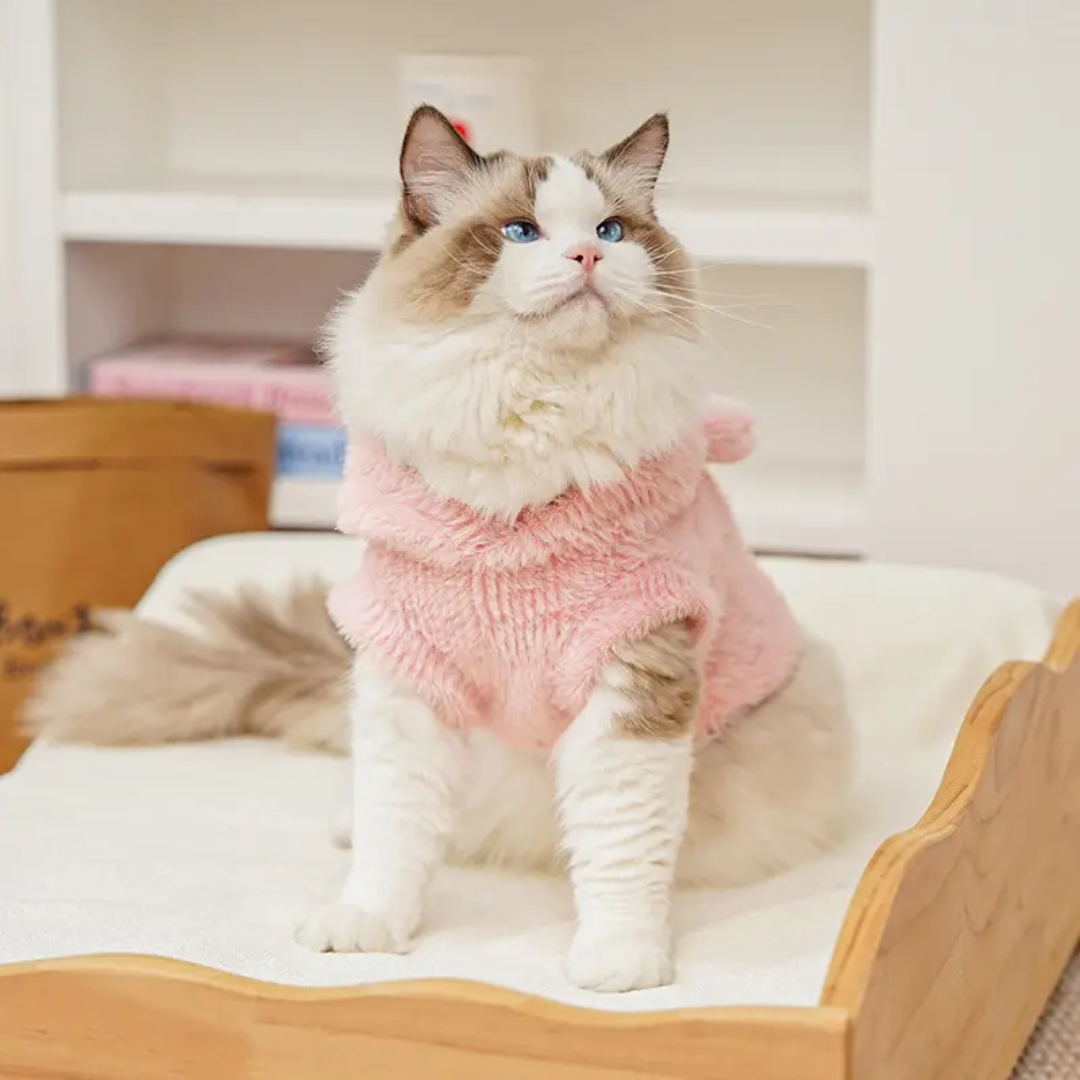 Cute  Pet cat & dog cozy hoodie vest