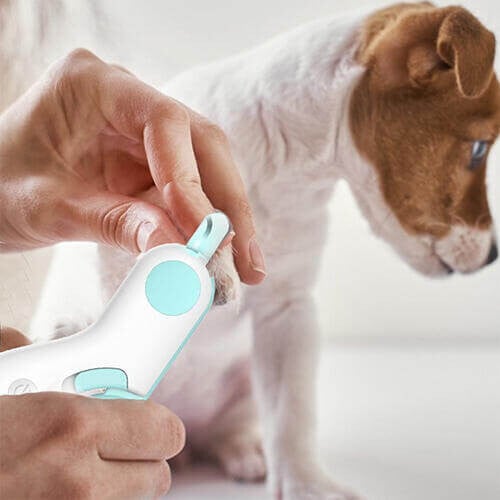 🎁Hot Sale🎁LED Pet Nail Clippers - Cutier Store