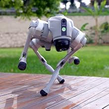 Unitree Go2 AI-Powered Robot Dog - Cutier Store