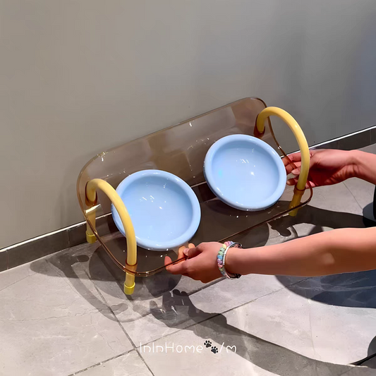 Anti Slip Dual Cat Bowl Set