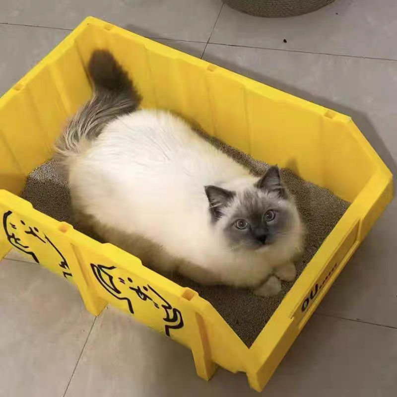 Cat Litter Box - Cutier Store