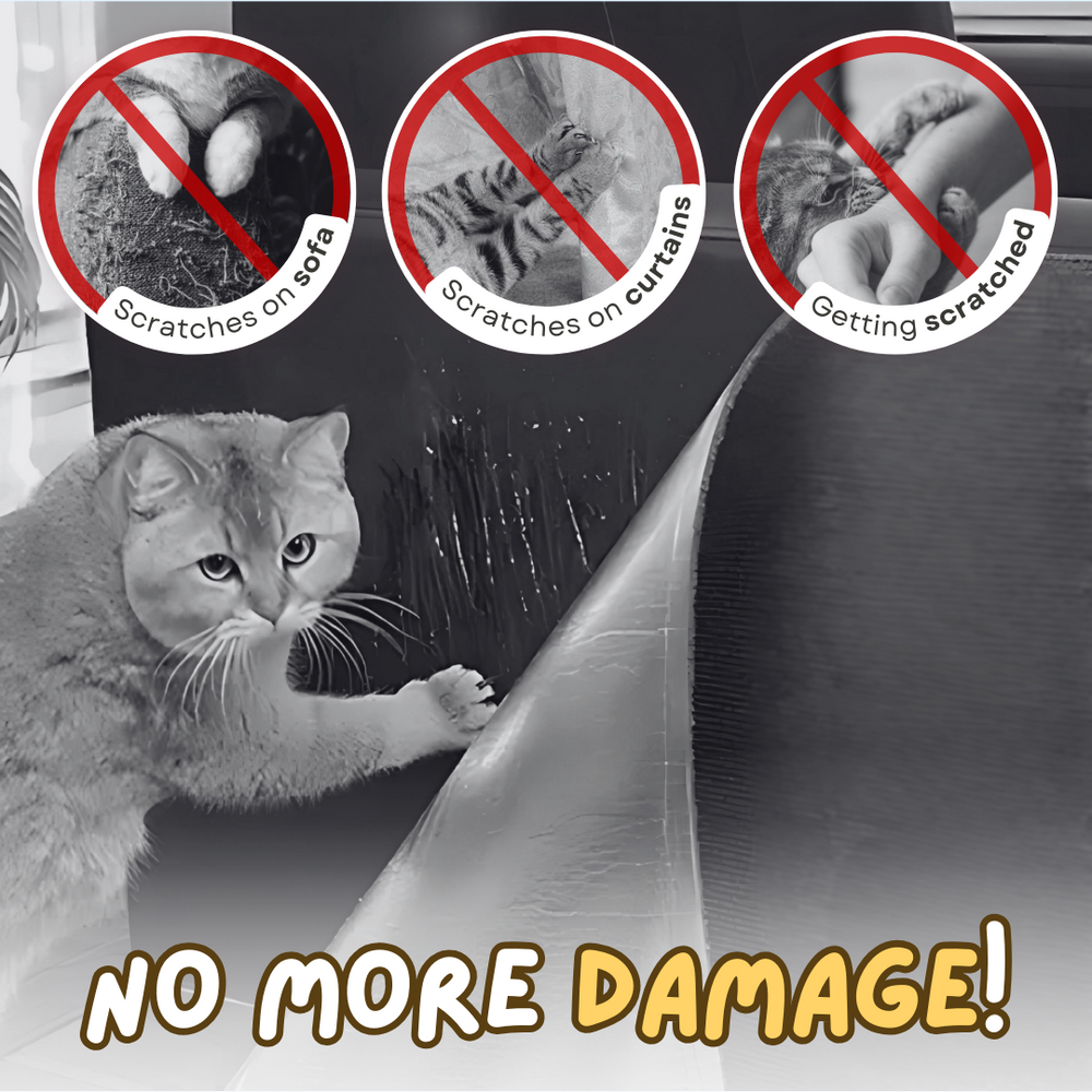 Cat Scratcher Sheet Couch sofa Protector - Cutier Store