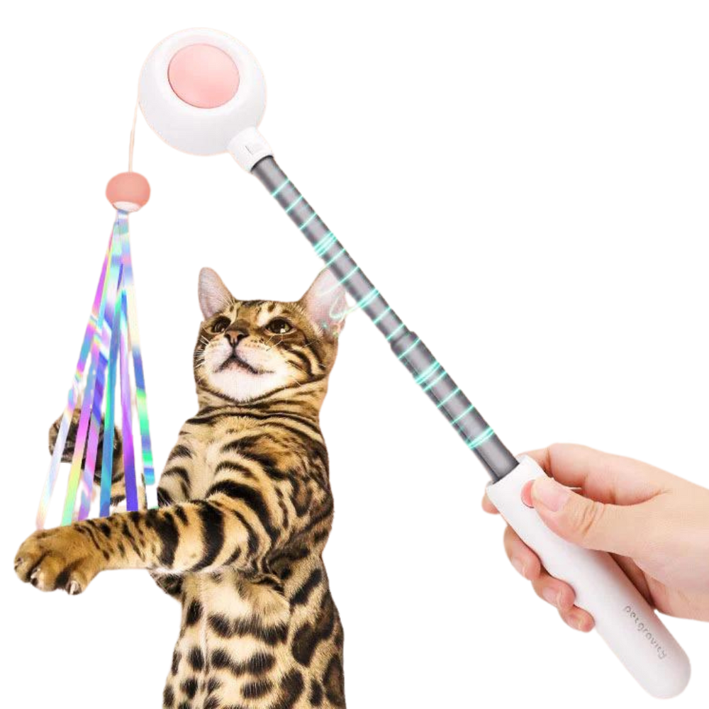 Multifunctional Cat laser Feather Stick Toy (2 in 1) - Cutier Store