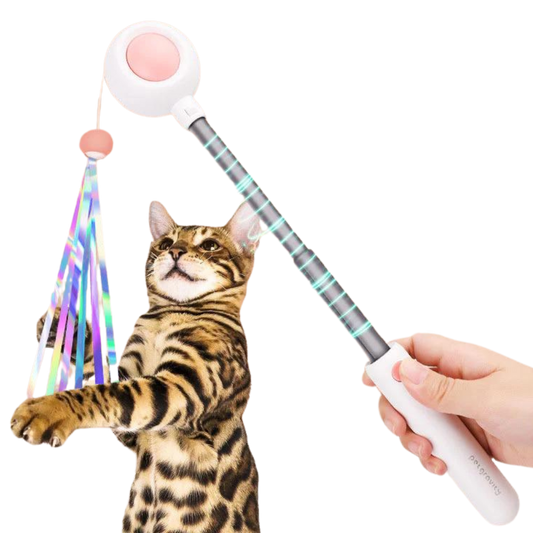 Multifunctional Cat laser Feather Stick Toy (2 in 1) - Cutier Store