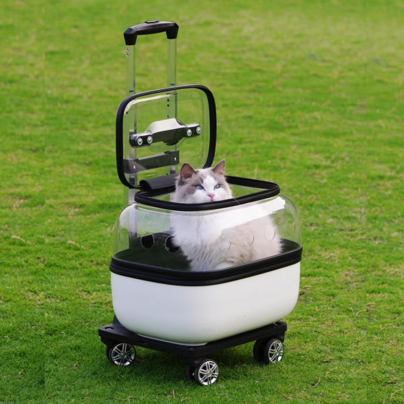 Pet Trolley transparent Suitcase - Cutier Store