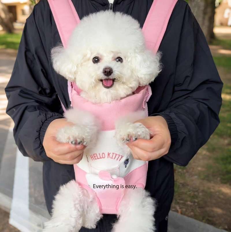 Pet Travel Backpack 😻🐶 - Cutier Store
