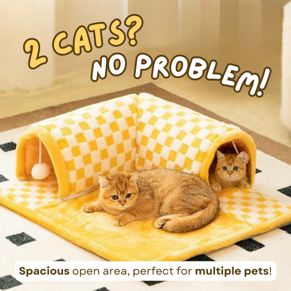 Cat tunnel soft bed - Cutier Store