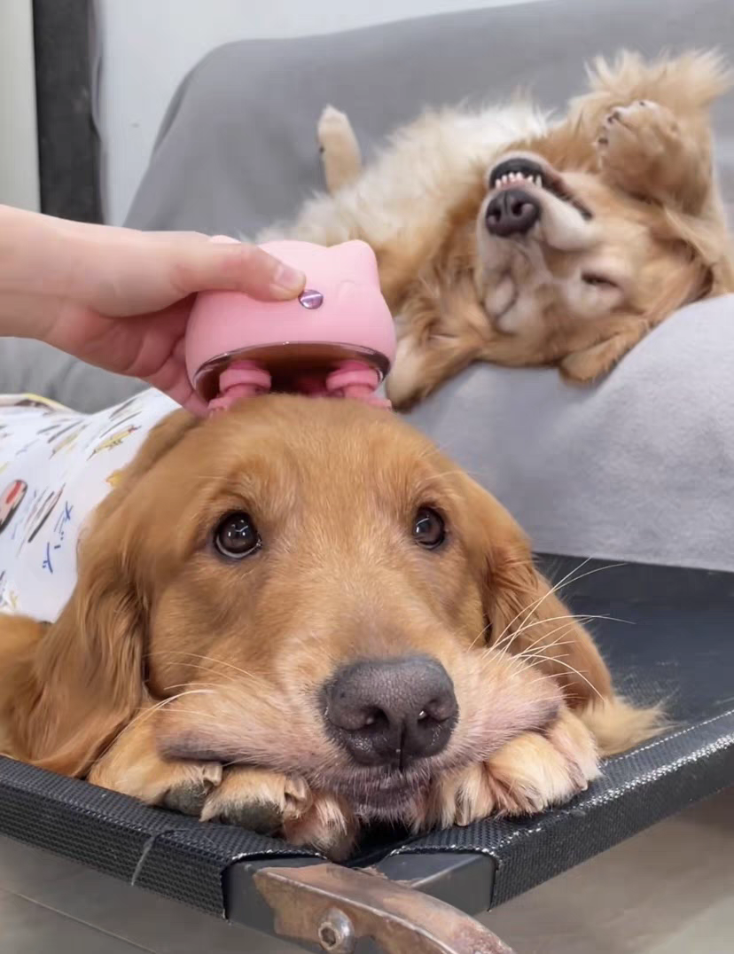 Pet head massager - Cutier Store
