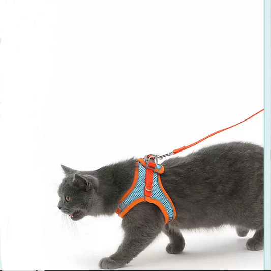 Cute Cat Harness - Cutier Store