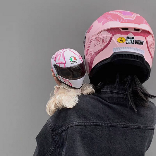 Pet Helmet