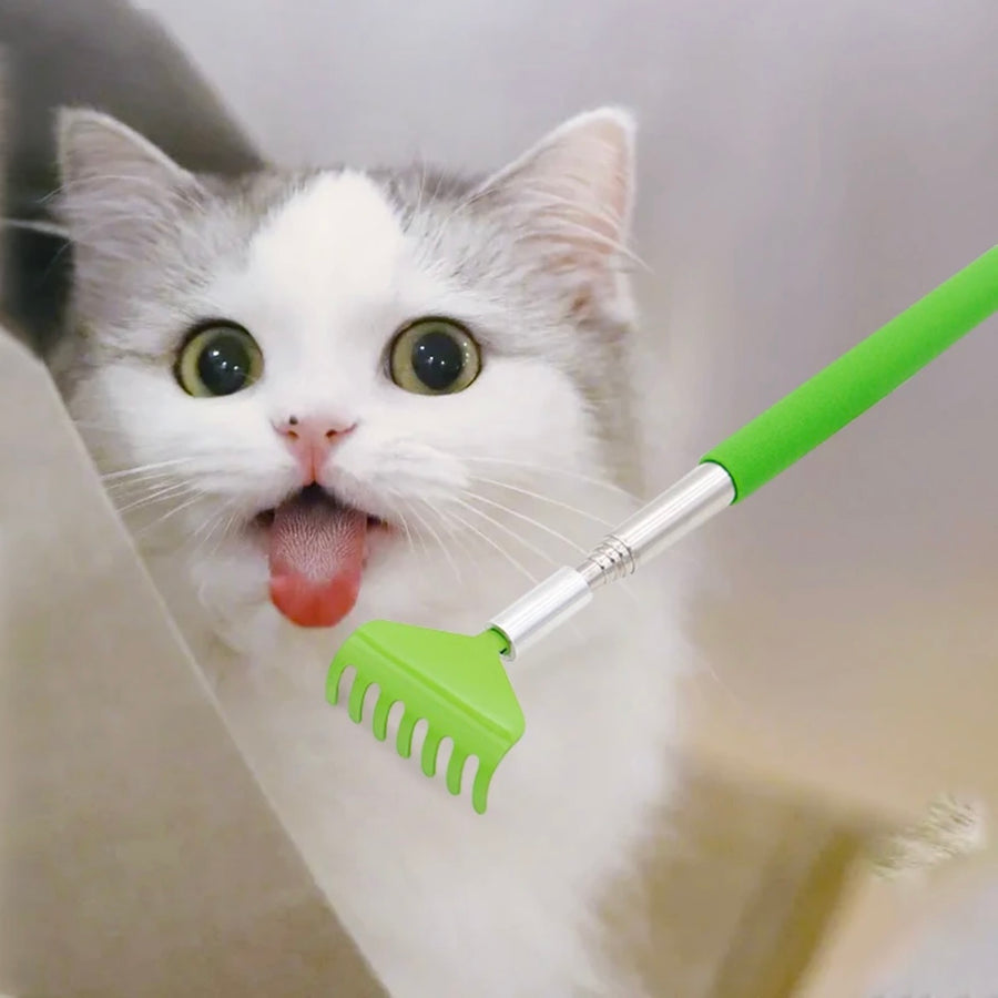 Handled Scratcher for cats - PP12 - Cutier Store