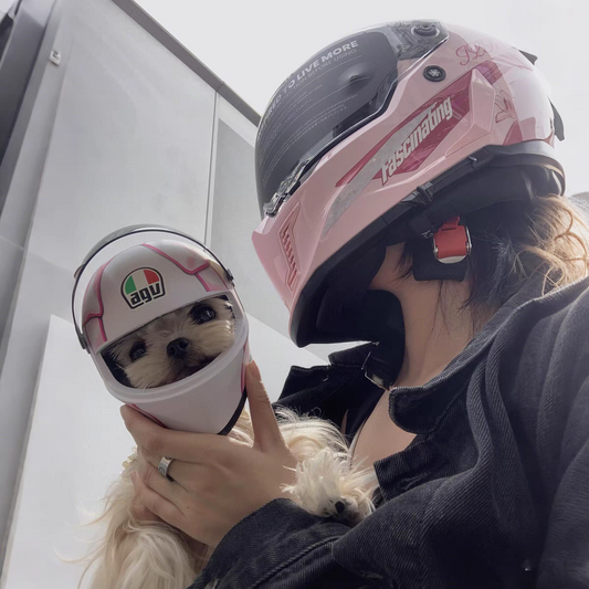 Pet Helmet