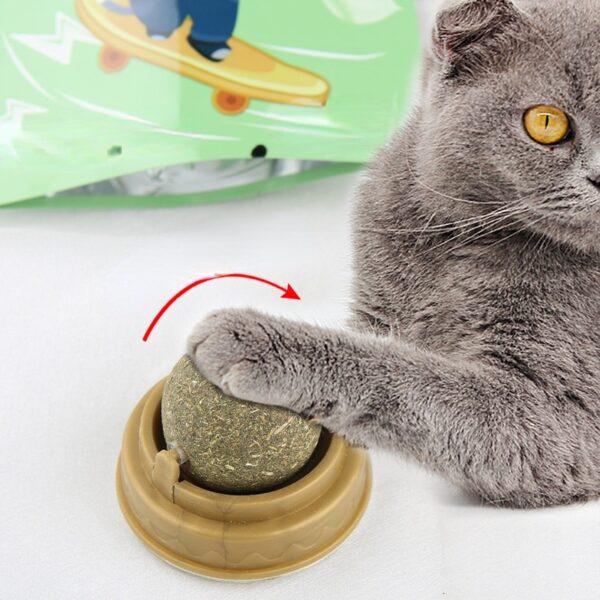 Catnip licking Ball For Cats - Cutier Store