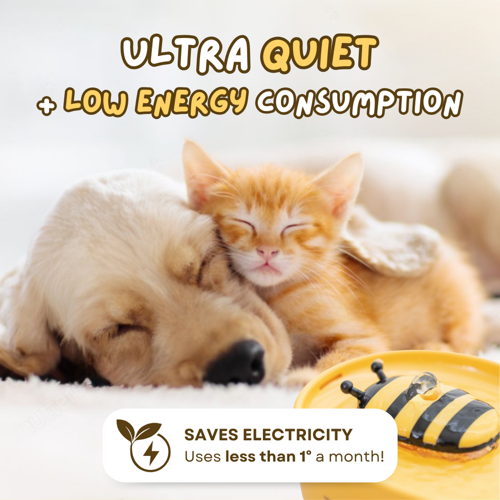 Pet Water bee fountain (4 filters free) - Cutier Store