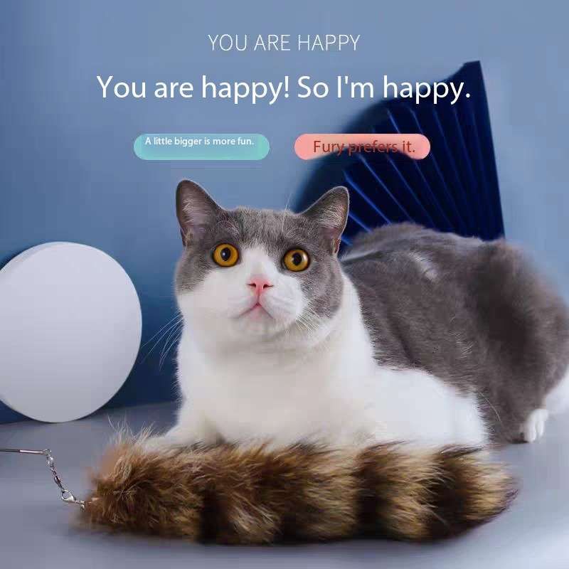 Tail Cat hunting teasing toy - Cutier Store