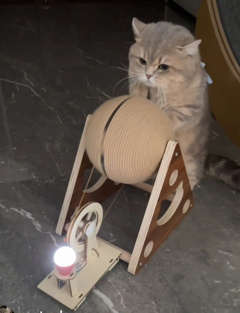 Cat-Powered Renewable Energy Toy – Scratch & Spin Generator - Cutier Store