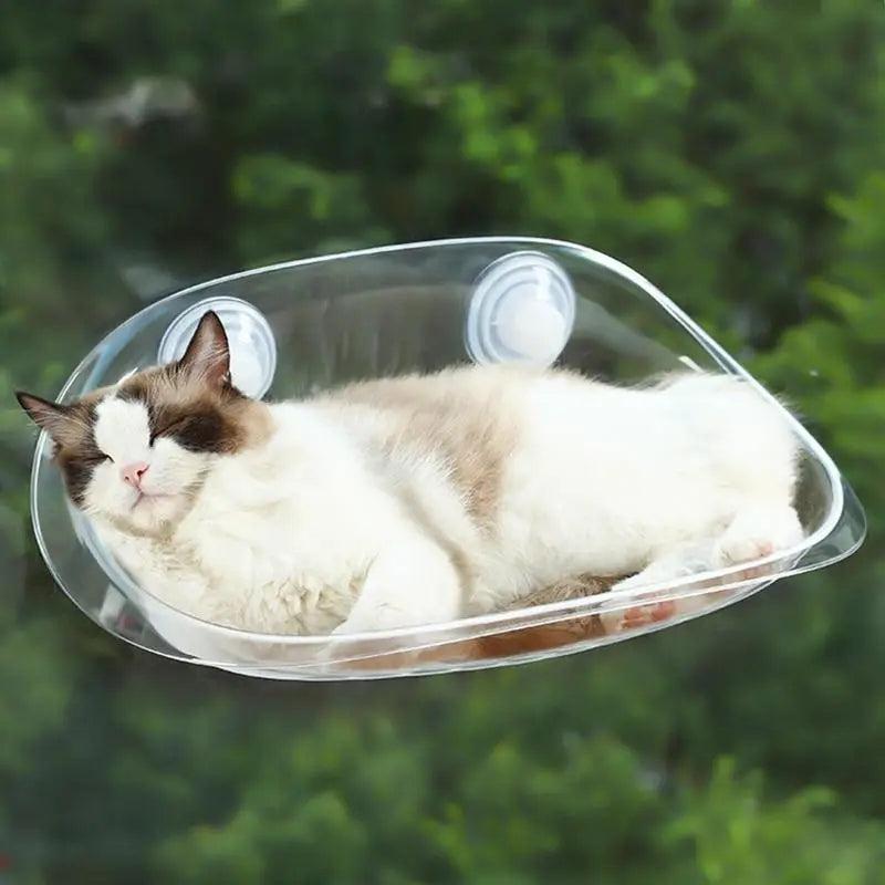 CutierStore® Cat window car Hammock - Cutier Store