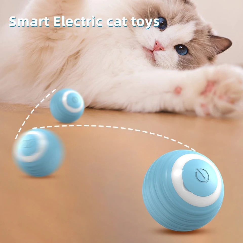 Cat Interactive Ball - PP38 - Cutier Store