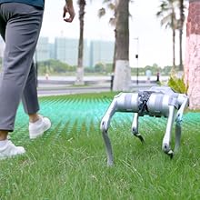 Unitree Go2 AI-Powered Robot Dog - Cutier Store