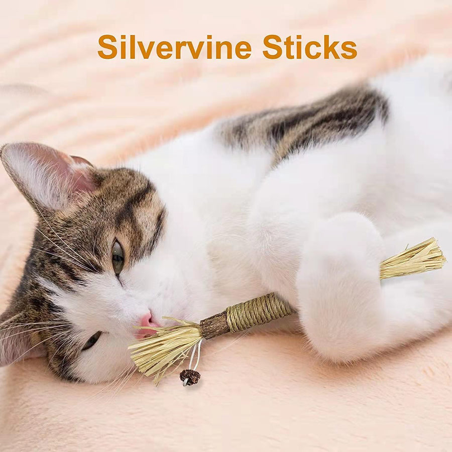 Cat Toys Silvervine Chew Stick - PP18 - Cutier Store
