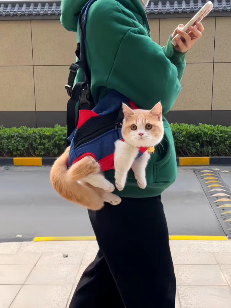 Pet travel Backpack pocket upgraded