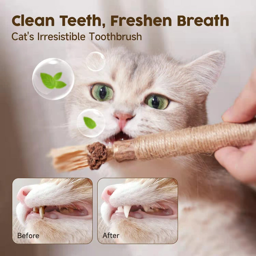 Cat Toys Silvervine Chew Stick - PP18 - Cutier Store