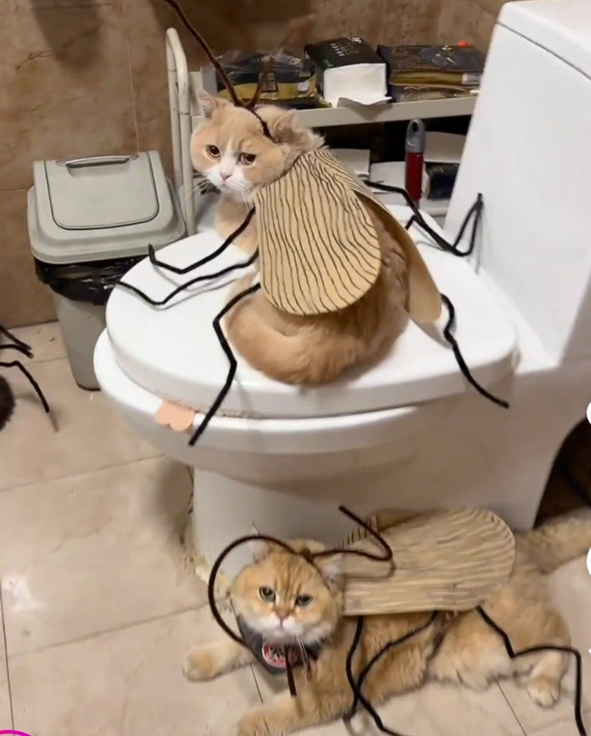 Funny Cockroach Cat Costume - Cutier Store