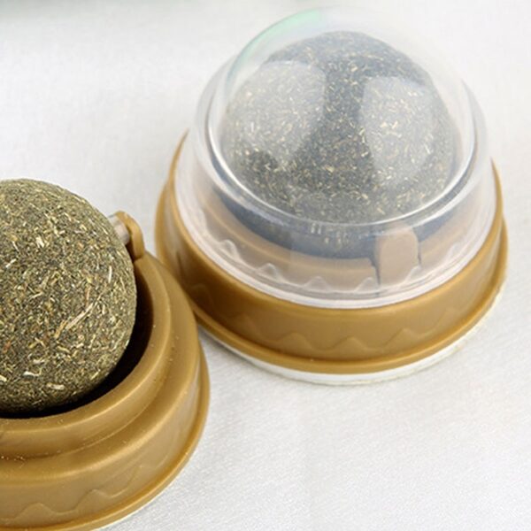 Catnip licking Ball For Cats - Cutier Store
