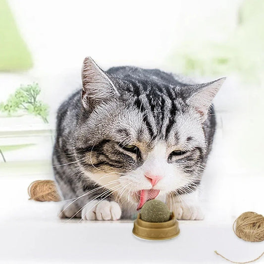 Catnip licking Ball For Cats - Cutier Store