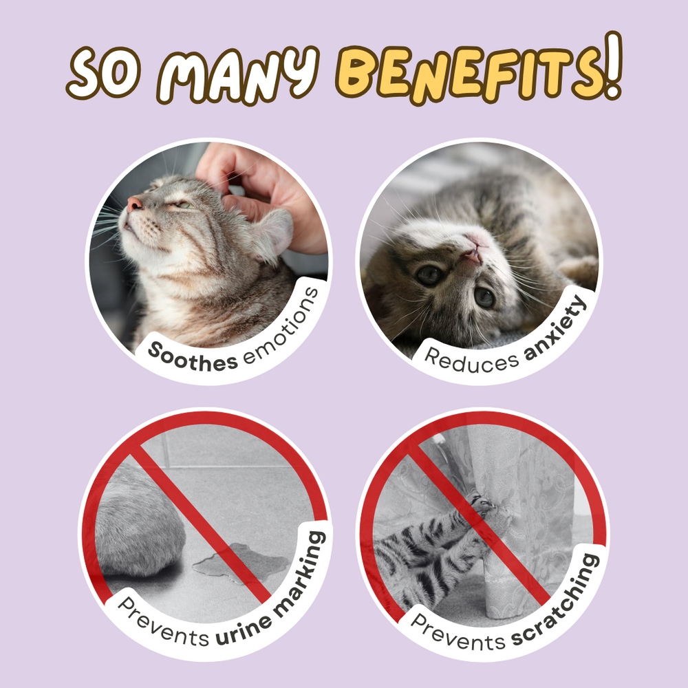 Cat Calming Pheromone - Cutier Store
