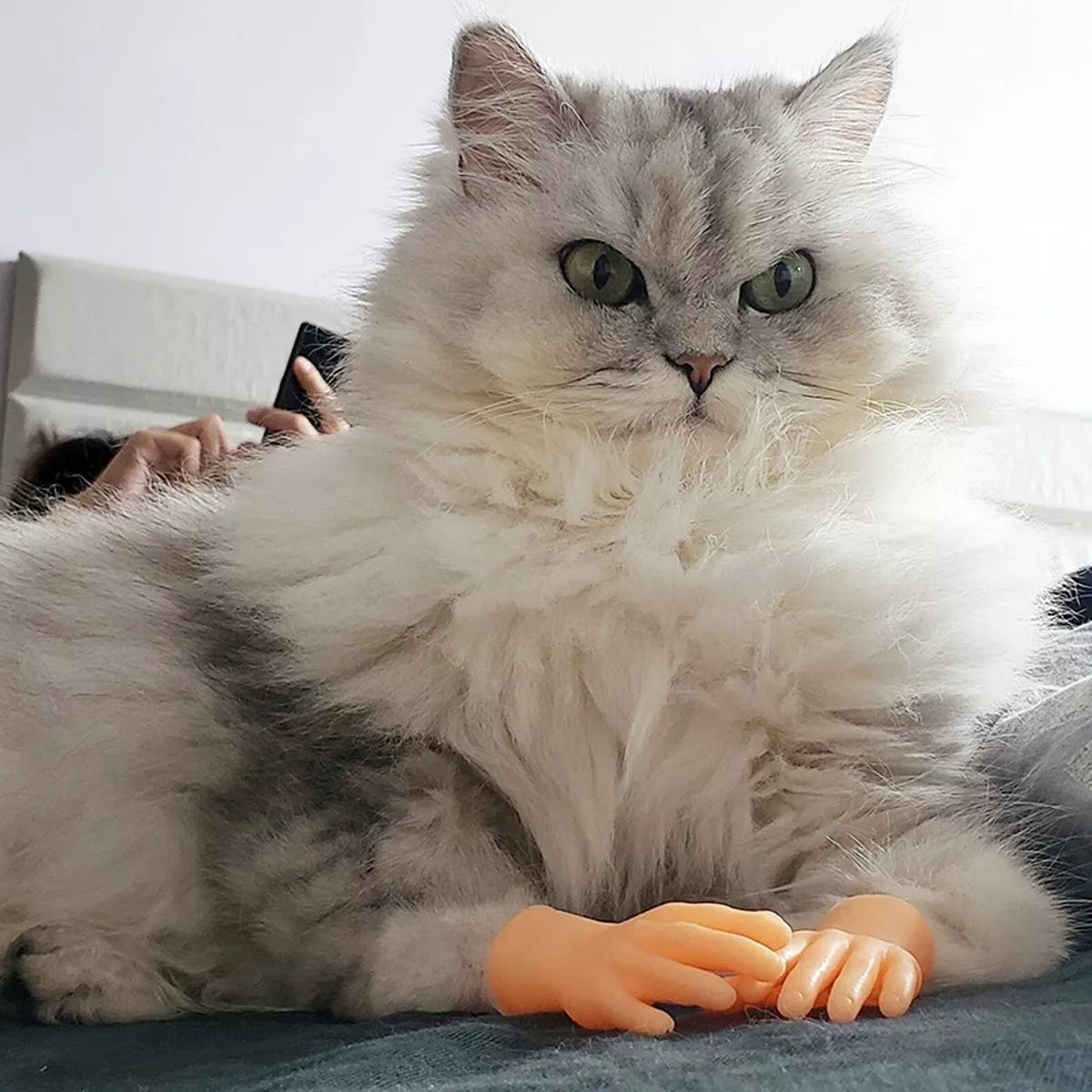 6PCS Cat Little funny Fake Human Hand - Cutier Store