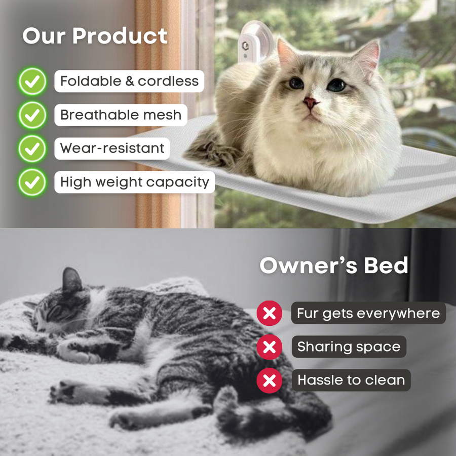 Cat Window Hammock - Cutier Store