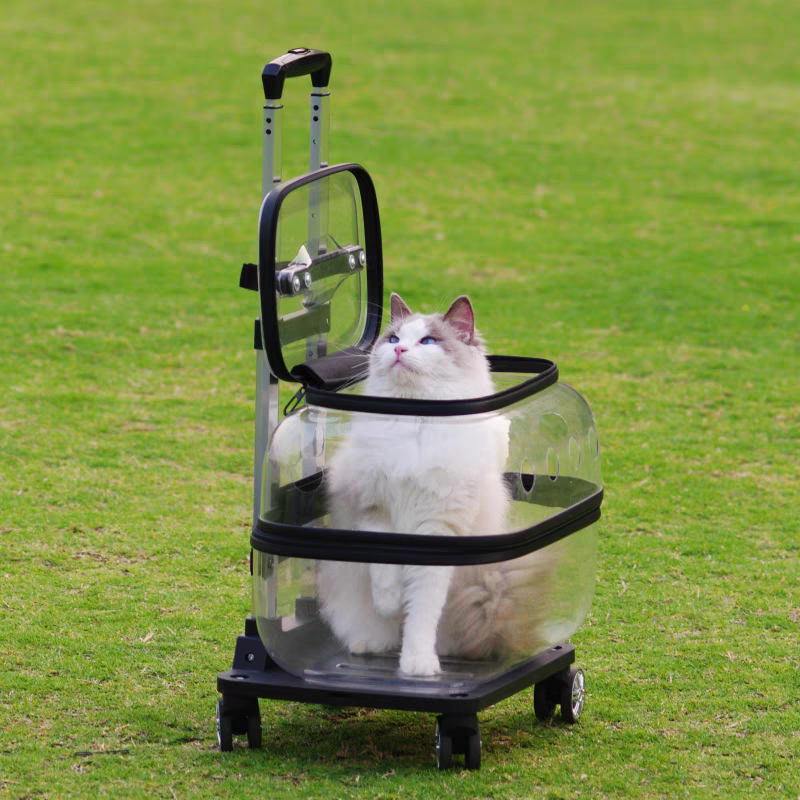 Pet Trolley transparent Suitcase - Cutier Store