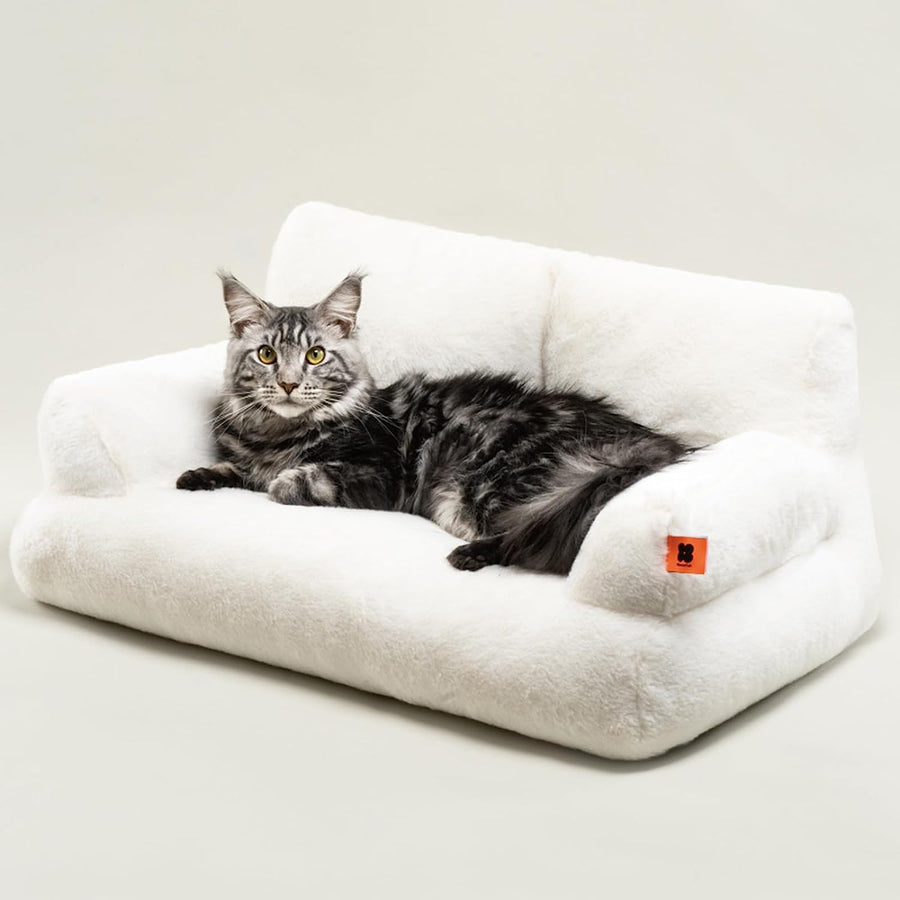 Pet Couch Bed, Sofa Washable Cat Beds for Medium Small Dogs & Cats - N10 - Cutier Store
