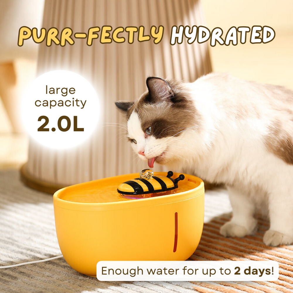 Pet Water bee fountain (4 filters free) - Cutier Store