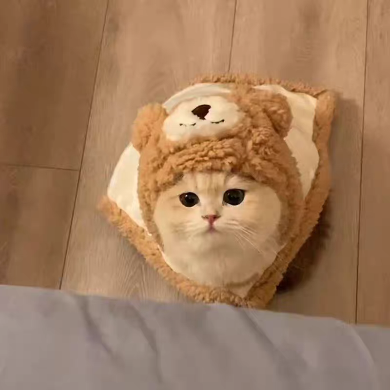 Pet winter Warm cute bear cape blanket ❄️