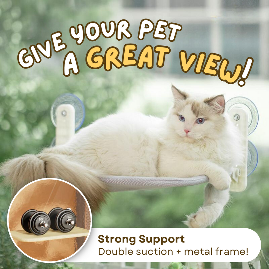 Cat Window Hammock - Cutier Store