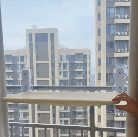 Cat Window Hammock - Cutier Store