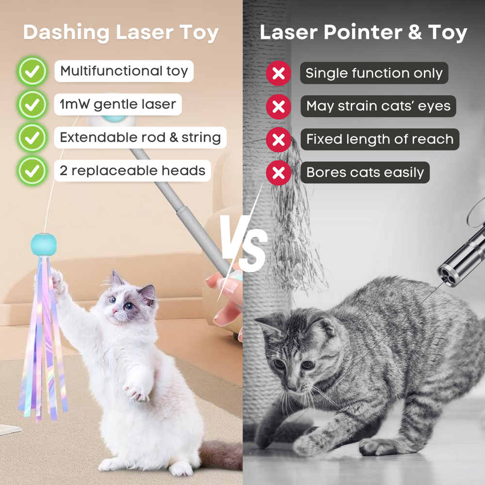 Multifunctional Cat laser Feather Stick Toy (2 in 1) - Cutier Store