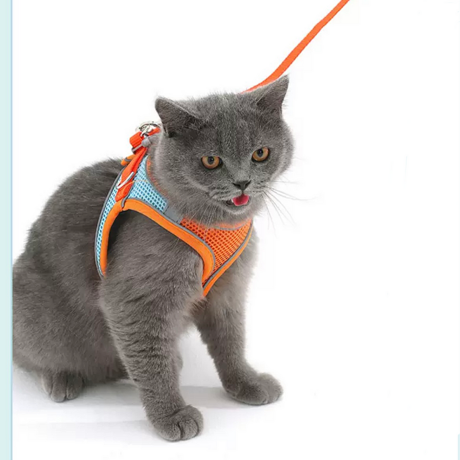 Cute Cat Harness - Cutier Store