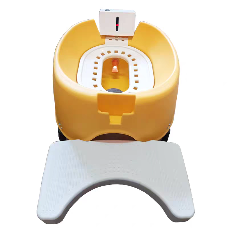 Luxury Automatic Flushing Cat Toilet