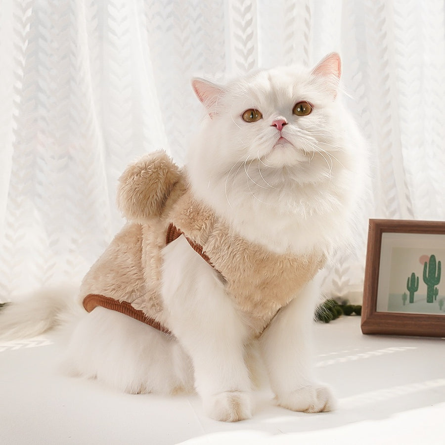 Winter Clothes For Cats - Cutier Store
