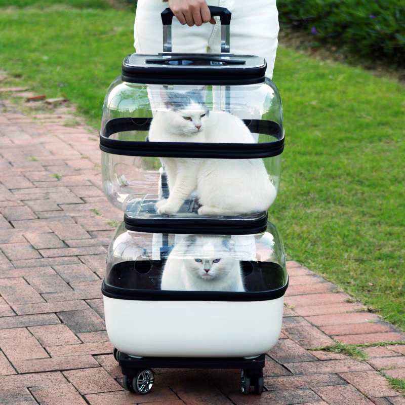 Pet Trolley transparent Suitcase - Cutier Store