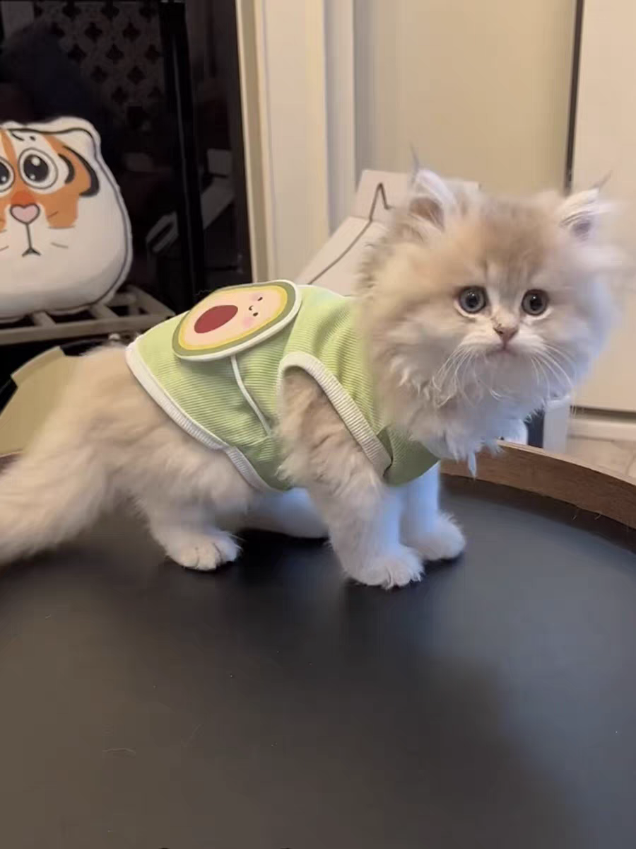 Avocado Summer Cool Vest - Cutier Store