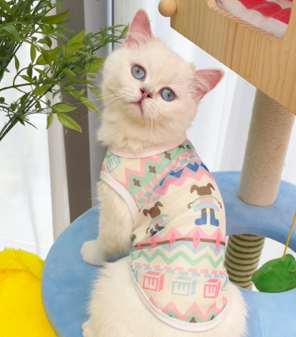 Pet anti-shedding summer vest - Cutier Store